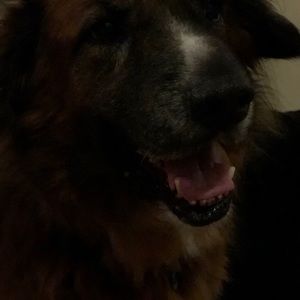 Meet your Posher, Marika